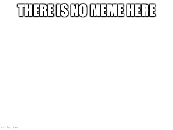 No meme | THERE IS NO MEME HERE | image tagged in blank white template | made w/ Imgflip meme maker