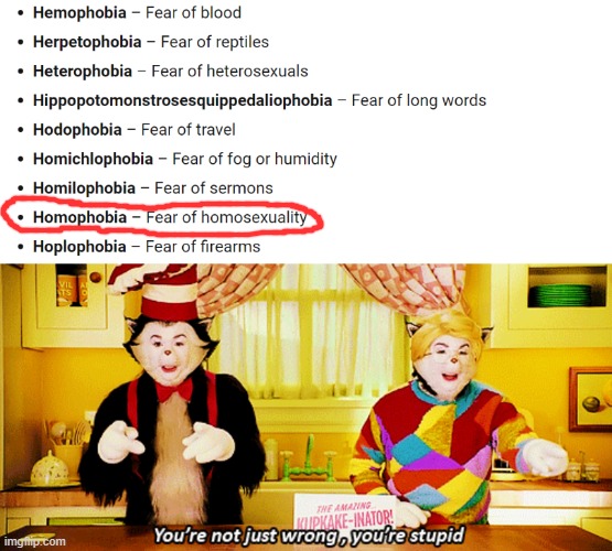 stupid | image tagged in homophobes suck,lgbtq,your not just wrong your stupid | made w/ Imgflip meme maker