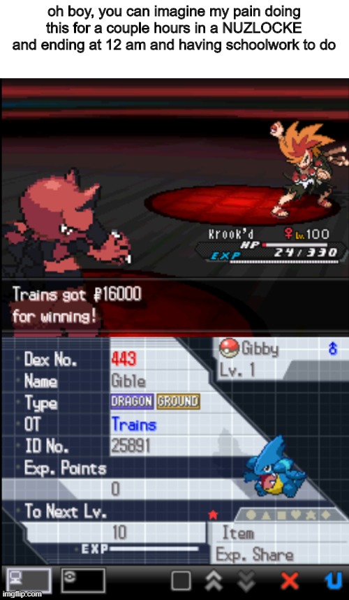 help why did i do this time to face cynthia later | oh boy, you can imagine my pain doing this for a couple hours in a NUZLOCKE and ending at 12 am and having schoolwork to do | image tagged in pokemon | made w/ Imgflip meme maker