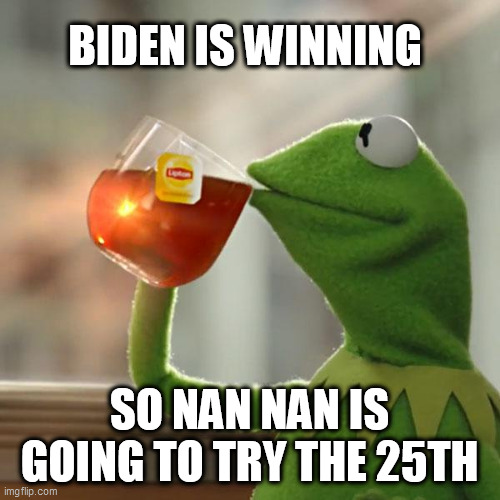 But That's None Of My Business Meme | BIDEN IS WINNING; SO NAN NAN IS GOING TO TRY THE 25TH | image tagged in memes,but that's none of my business,kermit the frog | made w/ Imgflip meme maker