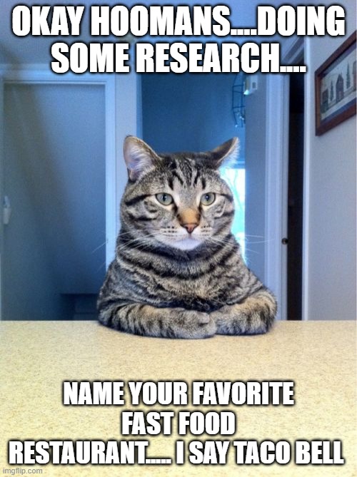 fun survey | OKAY HOOMANS....DOING SOME RESEARCH.... NAME YOUR FAVORITE FAST FOOD RESTAURANT..... I SAY TACO BELL | image tagged in memes,take a seat cat | made w/ Imgflip meme maker