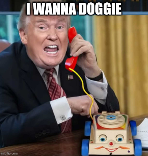 I'm the president | I WANNA DOGGIE | image tagged in im the president,dogs | made w/ Imgflip meme maker