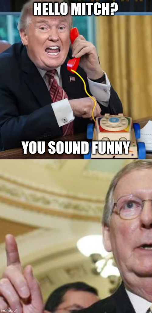 HELLO MITCH? YOU SOUND FUNNY | image tagged in memes,mitch mcconnell,im the president | made w/ Imgflip meme maker