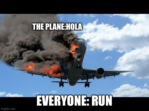 plane crash | THE PLANE:HOLA; EVERYONE: RUN | image tagged in plane crash | made w/ Imgflip meme maker