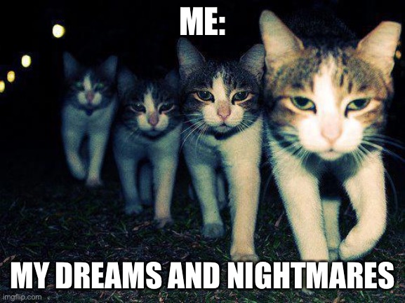 Wrong Neighboorhood Cats | ME:; MY DREAMS AND NIGHTMARES | image tagged in memes,wrong neighboorhood cats | made w/ Imgflip meme maker