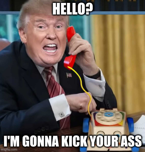 I'm the president | HELLO? I'M GONNA KICK YOUR ASS | image tagged in im the president | made w/ Imgflip meme maker