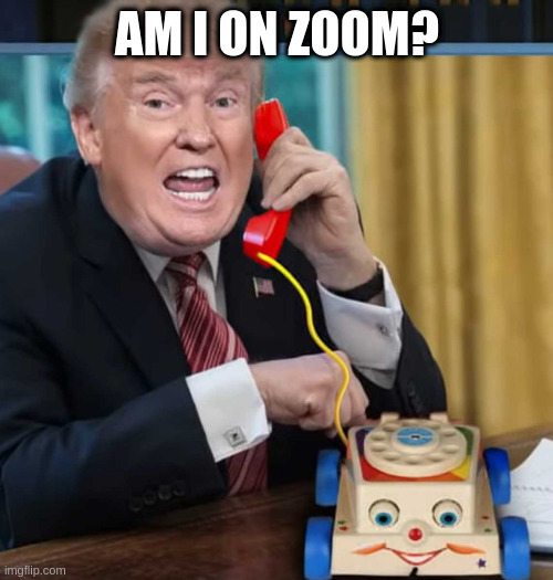 I'm the president | AM I ON ZOOM? | image tagged in im the president | made w/ Imgflip meme maker