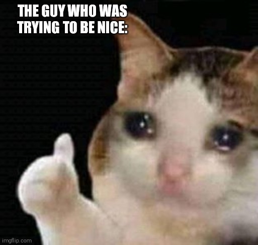 sad thumbs up cat | THE GUY WHO WAS TRYING TO BE NICE: | image tagged in sad thumbs up cat | made w/ Imgflip meme maker