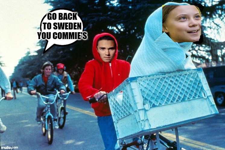 Greta looks like E.T. | GO BACK TO SWEDEN YOU COMMIE'S | image tagged in greta,david hogg | made w/ Imgflip meme maker