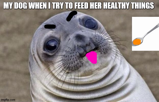 my dog when i try to feed her healthy things | MY DOG WHEN I TRY TO FEED HER HEALTHY THINGS | image tagged in memes,awkward moment sealion | made w/ Imgflip meme maker