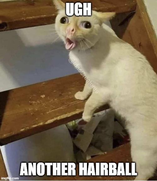 Hairball Cat | UGH; ANOTHER HAIRBALL | image tagged in hairball cat | made w/ Imgflip meme maker