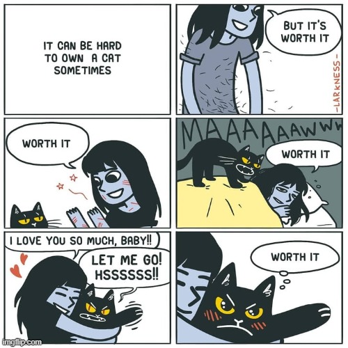 Been a while since I came back to this stream, enjoy the comic! | image tagged in comics,funny,true,cats | made w/ Imgflip meme maker