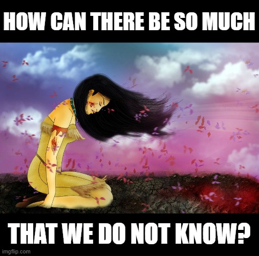 Pocahontas Feminism | HOW CAN THERE BE SO MUCH; THAT WE DO NOT KNOW? | image tagged in pocahontas | made w/ Imgflip meme maker