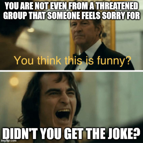 You think this is funny? | YOU ARE NOT EVEN FROM A THREATENED GROUP THAT SOMEONE FEELS SORRY FOR; DIDN'T YOU GET THE JOKE? | image tagged in you think this is funny,memes,politics,individuality politics | made w/ Imgflip meme maker