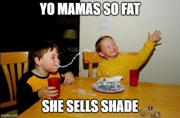 That's fat! | YO MAMAS SO FAT; SHE SELLS SHADE | image tagged in memes,yo mamas so fat | made w/ Imgflip meme maker