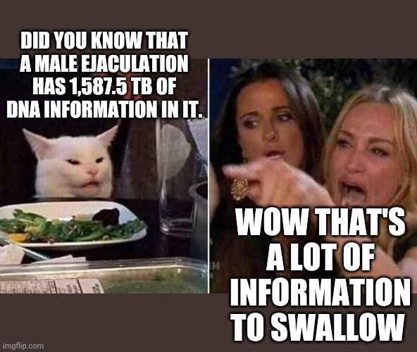 Reverse Smudge and Karen | DID YOU KNOW THAT A MALE EJACULATION HAS 1,587.5 TB OF DNA INFORMATION IN IT. WOW THAT'S A LOT OF INFORMATION TO SWALLOW | image tagged in reverse smudge and karen | made w/ Imgflip meme maker