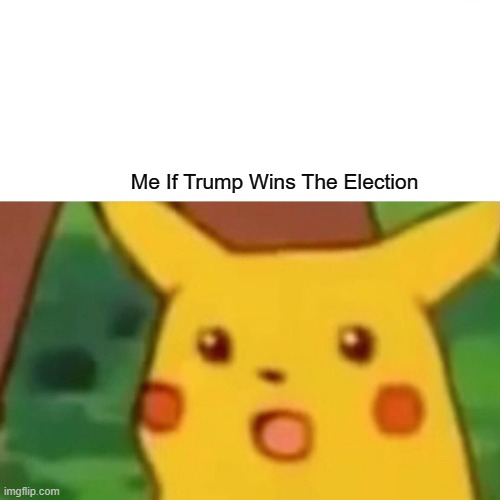 WOW | Me If Trump Wins The Election | image tagged in memes,donald trump,joe biden,vote | made w/ Imgflip meme maker