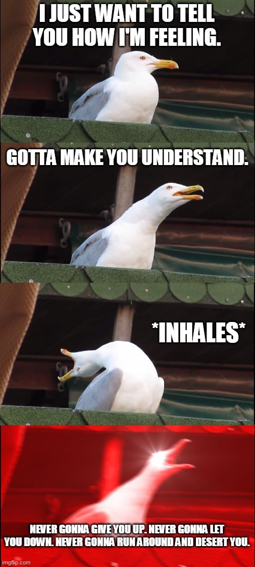 Inhaling Seagull Meme | I JUST WANT TO TELL YOU HOW I'M FEELING. GOTTA MAKE YOU UNDERSTAND. *INHALES*; NEVER GONNA GIVE YOU UP. NEVER GONNA LET YOU DOWN. NEVER GONNA RUN AROUND AND DESERT YOU. | image tagged in memes,inhaling seagull,never gonna give you up | made w/ Imgflip meme maker