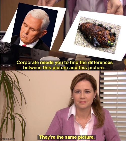 They're The Same Picture | image tagged in memes,they're the same picture,politics,mike pence,idiot,feces | made w/ Imgflip meme maker