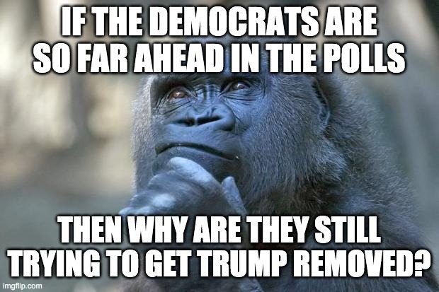 It's almost as if the polls aren't accurate... | IF THE DEMOCRATS ARE SO FAR AHEAD IN THE POLLS; THEN WHY ARE THEY STILL TRYING TO GET TRUMP REMOVED? | image tagged in memes,politics,donald trump,nancy pelosi | made w/ Imgflip meme maker