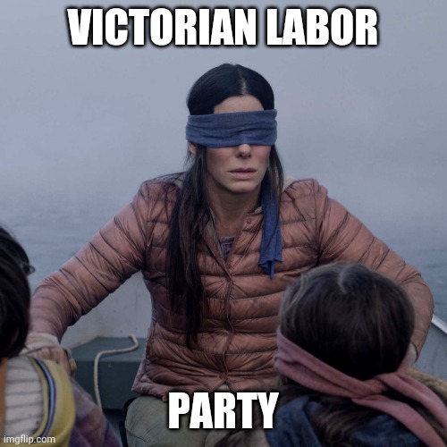 Bird Box | VICTORIAN LABOR; PARTY | image tagged in memes,bird box | made w/ Imgflip meme maker
