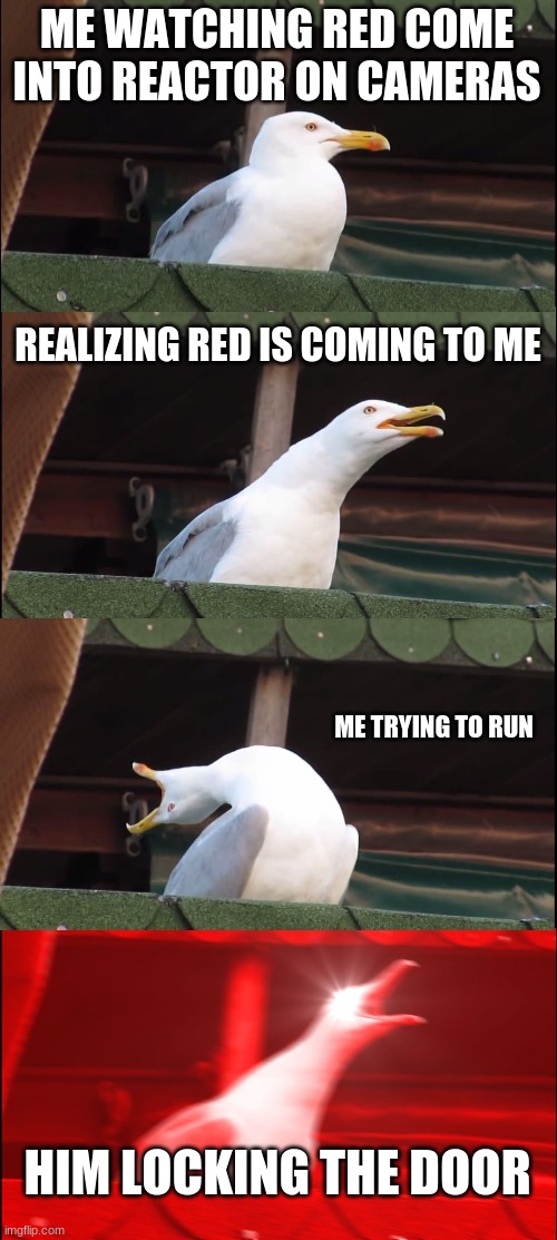Inhaling Seagull | ME WATCHING RED COME INTO REACTOR ON CAMERAS; REALIZING RED IS COMING TO ME; ME TRYING TO RUN; HIM LOCKING THE DOOR | image tagged in memes,inhaling seagull | made w/ Imgflip meme maker