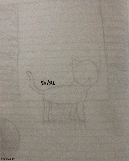 A drawing of a kitten :) | image tagged in kitten,kittens,drawing,drawings | made w/ Imgflip meme maker