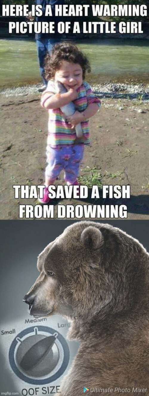 Oof bear | image tagged in oof size large,oof,funny memes,memes,fish,funny | made w/ Imgflip meme maker