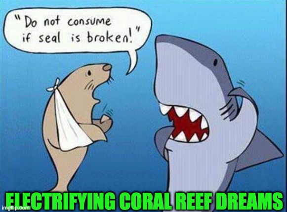ELECTRIFYING CORAL REEF DREAMS | image tagged in coral | made w/ Imgflip meme maker