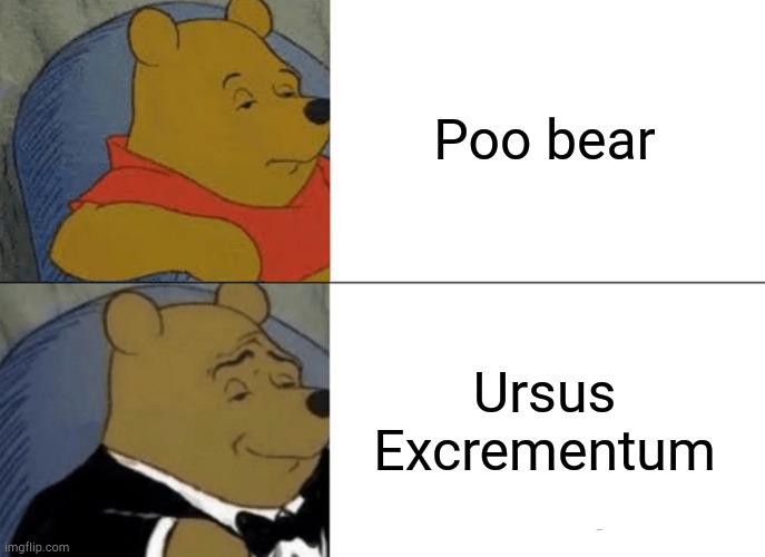 Tuxedo Winnie The Pooh Meme | Poo bear; Ursus Excrementum | image tagged in memes,tuxedo winnie the pooh,latin,scientific name,poop | made w/ Imgflip meme maker