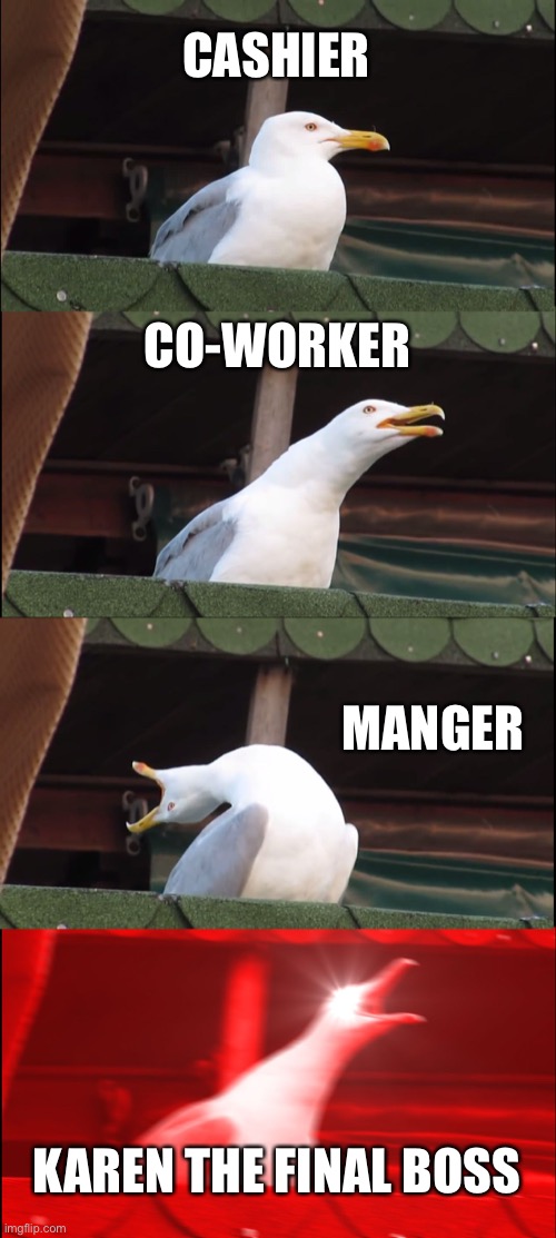 Inhaling Seagull Meme | CASHIER; CO-WORKER; MANGER; KAREN THE FINAL BOSS | image tagged in memes,inhaling seagull | made w/ Imgflip meme maker