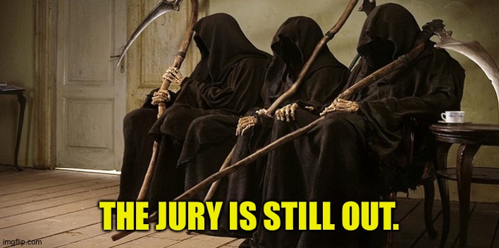 THE JURY IS STILL OUT. | made w/ Imgflip meme maker