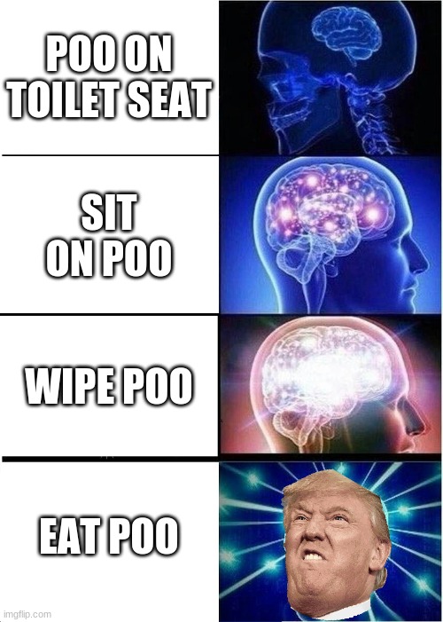 Expanding Brain | POO ON TOILET SEAT; SIT ON POO; WIPE POO; EAT POO | image tagged in memes,expanding brain | made w/ Imgflip meme maker