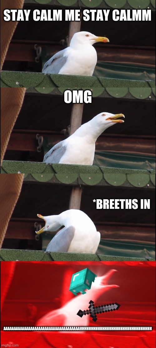 mad seagull | STAY CALM ME STAY CALMM; OMG; *BREETHS IN; AAAAAAAAAAAAAAAAAAAAAAAAAAAAAAAAAAAAAHHHHHHHHHHHHHHHHHHHHHHHHHHHHHHHH | image tagged in memes,inhaling seagull | made w/ Imgflip meme maker