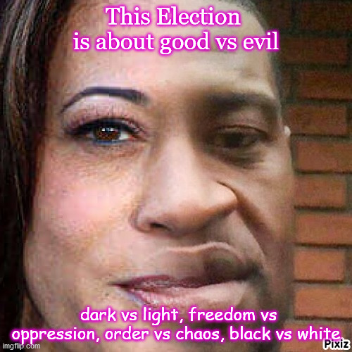 DarkvsLight | This Election 
is about good vs evil; dark vs light, freedom vs oppression, order vs chaos, black vs white | image tagged in election,goodvsevil | made w/ Imgflip meme maker