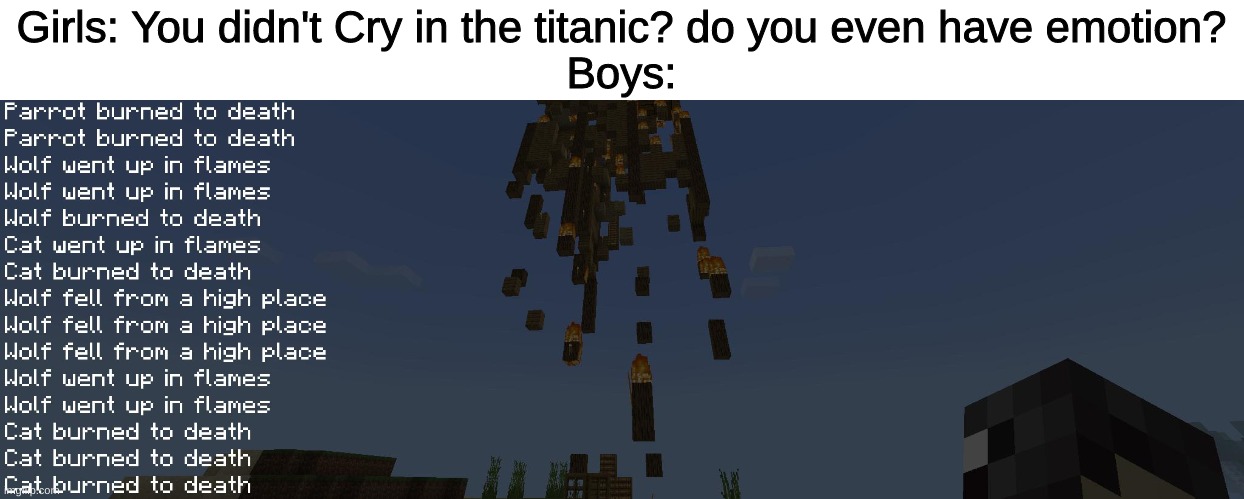f | Girls: You didn't Cry in the titanic? do you even have emotion?
Boys: | image tagged in me and the boys | made w/ Imgflip meme maker