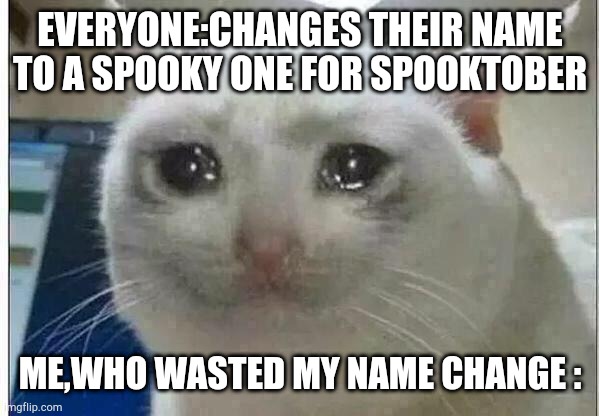F | EVERYONE:CHANGES THEIR NAME TO A SPOOKY ONE FOR SPOOKTOBER; ME,WHO WASTED MY NAME CHANGE : | image tagged in crying cat,f | made w/ Imgflip meme maker