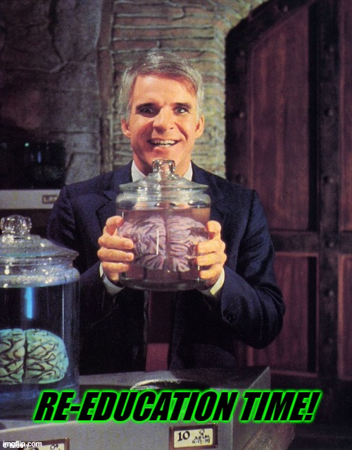 Steve Martin - Man With Two Brains | RE-EDUCATION TIME! | image tagged in steve martin - man with two brains | made w/ Imgflip meme maker