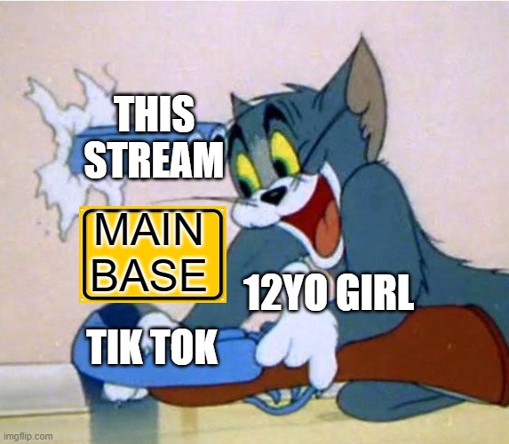 Anti tik tok | THIS STREAM; 12YO GIRL; MAIN BASE; TIK TOK | image tagged in tom and jerry gun | made w/ Imgflip meme maker