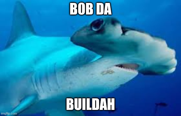 bob da buildah |  B0B DA; BUILDAH | image tagged in bob the builder | made w/ Imgflip meme maker