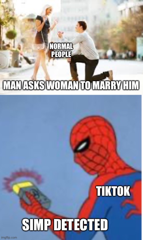Lol | NORMAL PEOPLE; MAN ASKS WOMAN TO MARRY HIM; TIKTOK; SIMP DETECTED | image tagged in imgflip | made w/ Imgflip meme maker