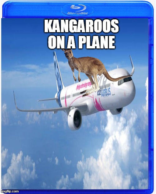 epic movie | KANGAROOS ON A PLANE | image tagged in memes,funny,snakes on a plane,blu ray | made w/ Imgflip meme maker