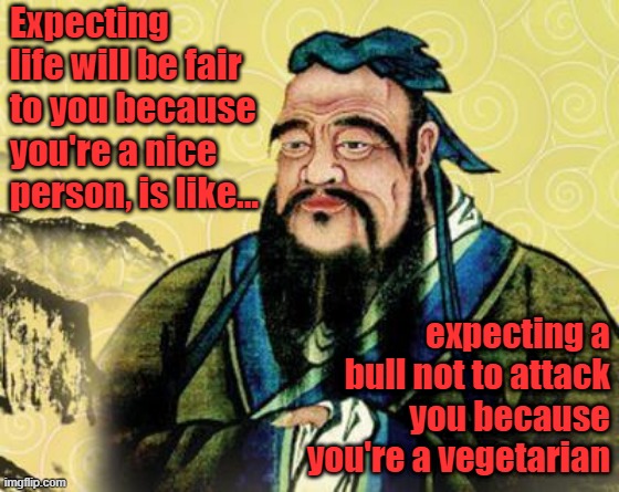 chinese philosopher | Expecting life will be fair to you because you're a nice person, is like... expecting a bull not to attack you because you're a vegetarian | image tagged in chinese philosopher | made w/ Imgflip meme maker