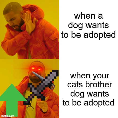 adopting dogs | when a dog wants to be adopted; when your cats brother dog wants to be adopted | image tagged in memes,drake hotline bling | made w/ Imgflip meme maker