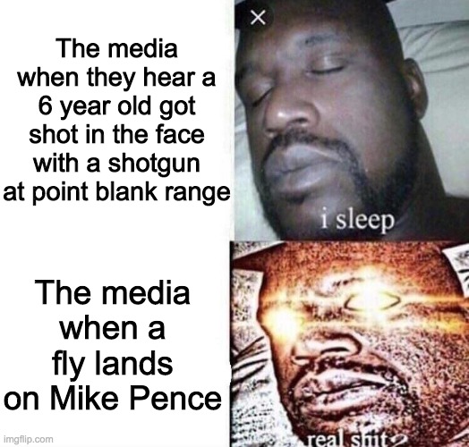 Imagine a world where journalism was devoted to actual journalism. Chilling. | The media when they hear a 6 year old got shot in the face with a shotgun at point blank range; The media when a fly lands on Mike Pence | image tagged in i sleep real shit,haha fly go brrrr | made w/ Imgflip meme maker