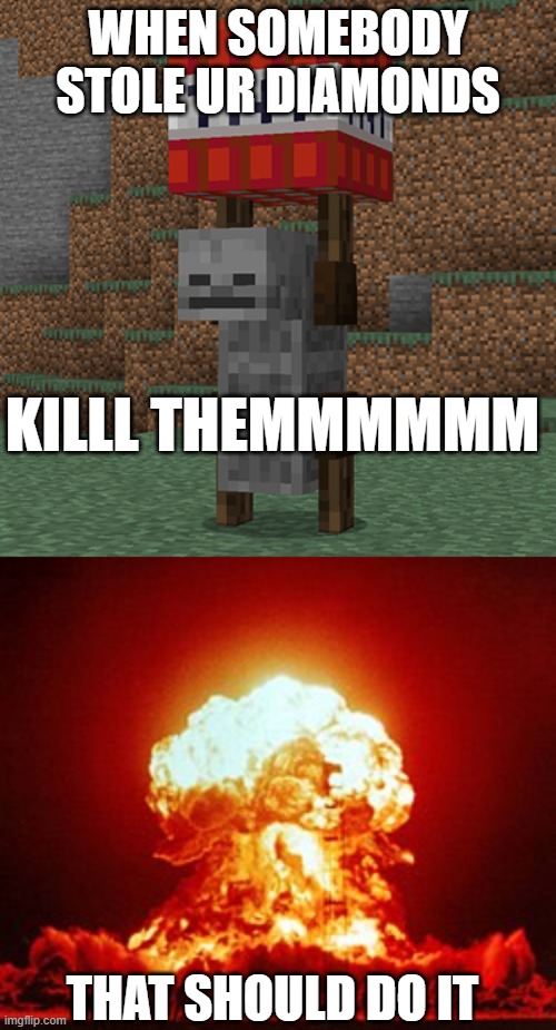 WHEN SOMEBODY STOLE UR DIAMONDS; KILLL THEMMMMMM; THAT SHOULD DO IT | image tagged in tnt yeeter | made w/ Imgflip meme maker