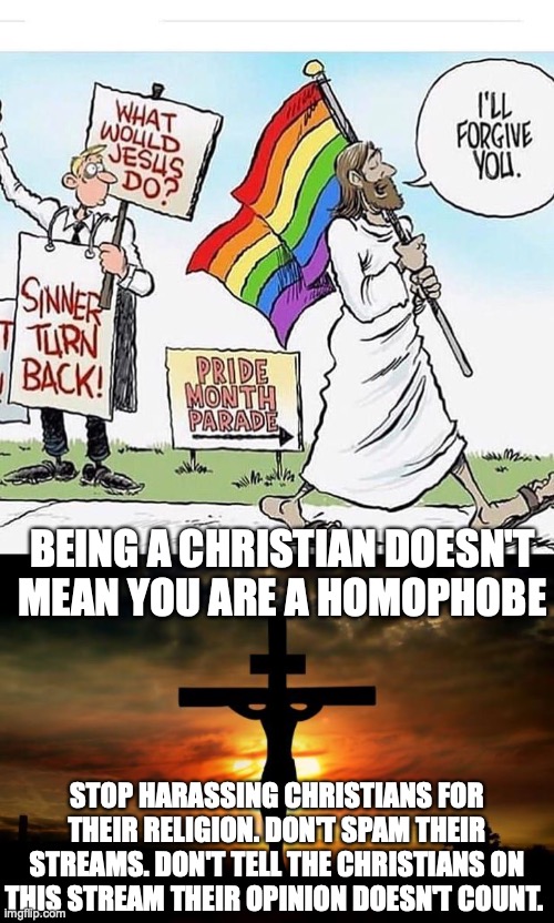 guys. really, im talking to like 2 PEOPLE | BEING A CHRISTIAN DOESN'T MEAN YOU ARE A HOMOPHOBE; STOP HARASSING CHRISTIANS FOR THEIR RELIGION. DON'T SPAM THEIR STREAMS. DON'T TELL THE CHRISTIANS ON THIS STREAM THEIR OPINION DOESN'T COUNT. | image tagged in jesus on the cross | made w/ Imgflip meme maker