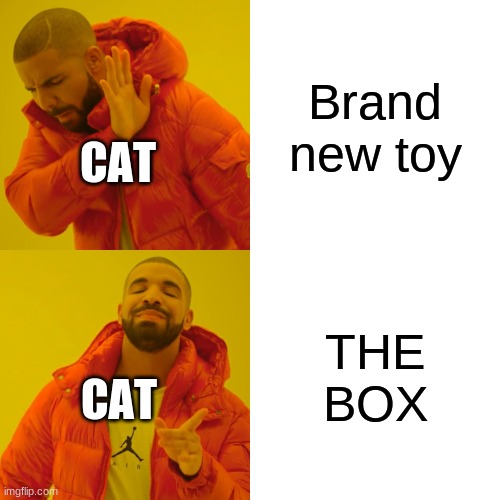 Cats logic | Brand new toy; CAT; THE BOX; CAT | image tagged in memes,drake hotline bling | made w/ Imgflip meme maker