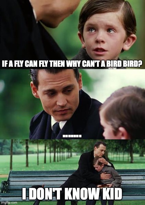 Finding Neverland Meme | IF A FLY CAN FLY THEN WHY CAN'T A BIRD BIRD? ....... I DON'T KNOW KID | image tagged in memes,finding neverland | made w/ Imgflip meme maker