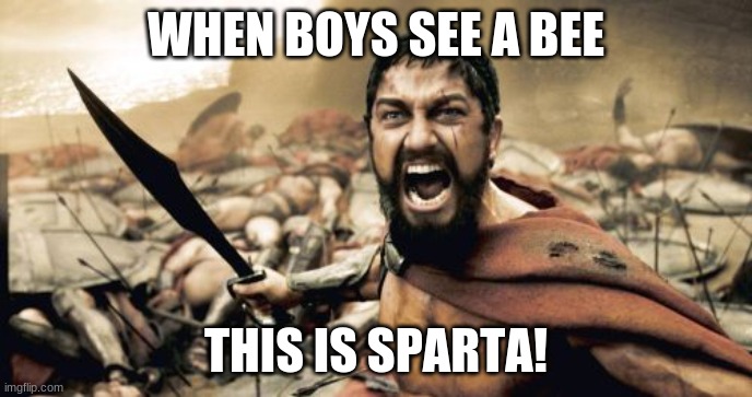 bois are better now | WHEN BOYS SEE A BEE; THIS IS SPARTA! | image tagged in memes,sparta leonidas | made w/ Imgflip meme maker